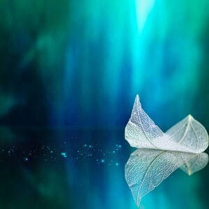 Феерия на нежността