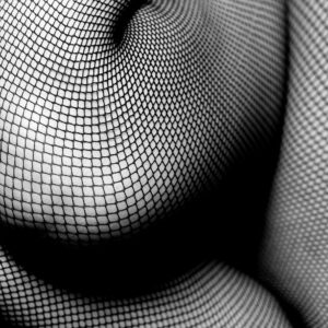 Кожата на геометрията