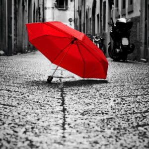 Цвят в сивотата на градските улици