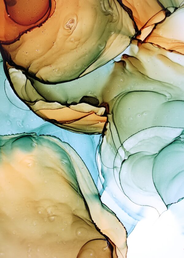 ABS098.jpg