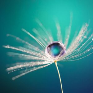 Крехка хармония