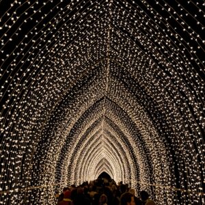 Светлинно пътешествие