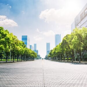 Слънчев булевард с дървета и модерни сгради