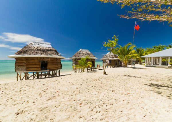 tropical beach huts and palm trees by the sea