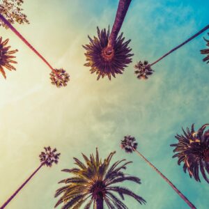 Палми отдолу с жълто и тюркоазено небе