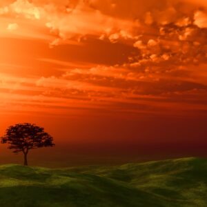 Залез с червено небе и самотно дърво върху зелени хълмове.