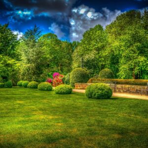 Живописна зелена градина с подстригани храсти и просторна морава