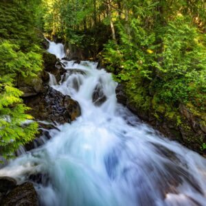 Планинска река с камъни и зелена гора