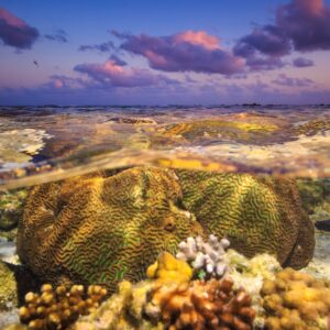 Корални рифове и залез над морето.