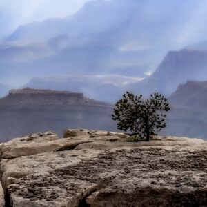 Скалисто плато с дърво и гледка към каньон.
