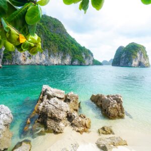 Плаж с тропически растения и море в Халонг Бей.