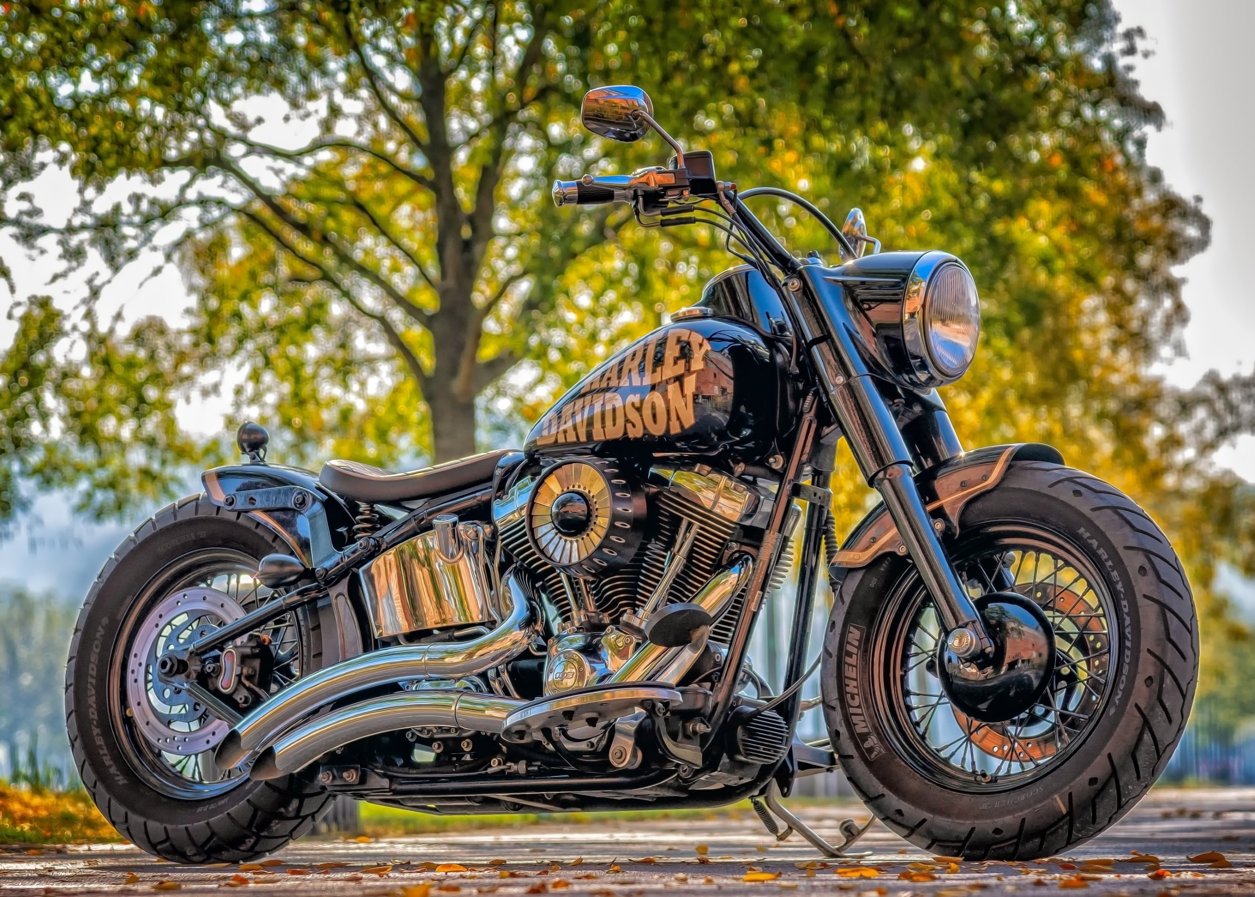 Класически Harley-Davidson мотоциклет на открито