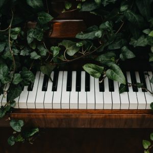 Пиано обрасло с бръшлян