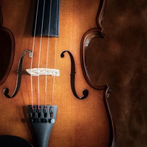 Цигулка в детайл