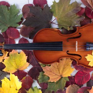 Цигулка върху есенни листа