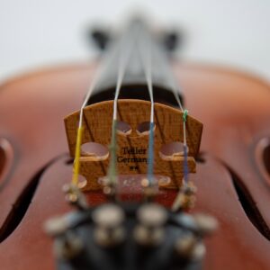 Детайлна макро фотография на цигулка със струнния мост