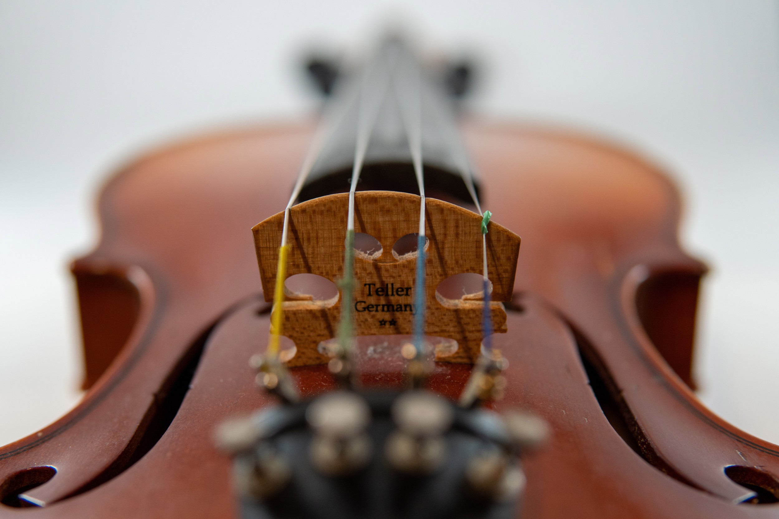 Детайлна макро фотография на цигулка със струнния мост