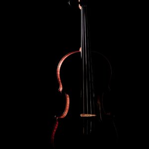 Цигулка с драматично осветление върху черен фон