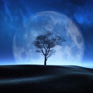 Самотно дърво пред пълнолуние и нощно небе