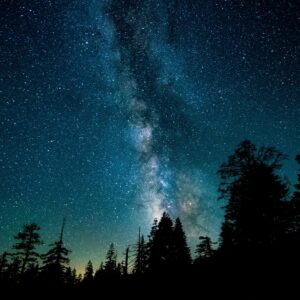 Млечният път и звезди над гора от дървета