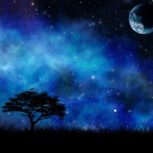 Дърво под нощно небе със звезди и Луна