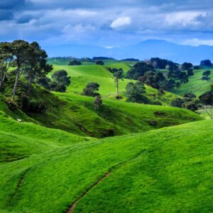 Зелени хълмове с дървета и овце под облаци