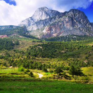 Висока планина над зелени гори и поля