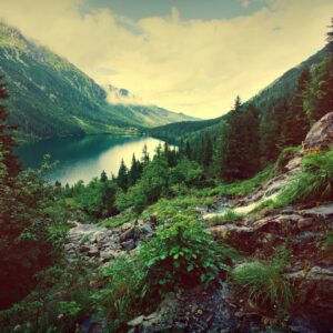 Планинско езеро, заобиколено от гори и скали