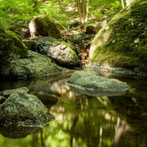 Горски поток, преминаващ между мъхести скали