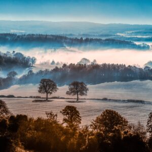 Поля и дървета, обгърнати в сутрешна мъгла