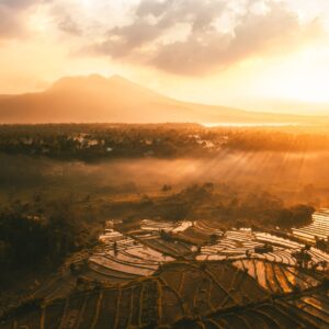 Golden sunrise over rice terraces with warm glowing light.