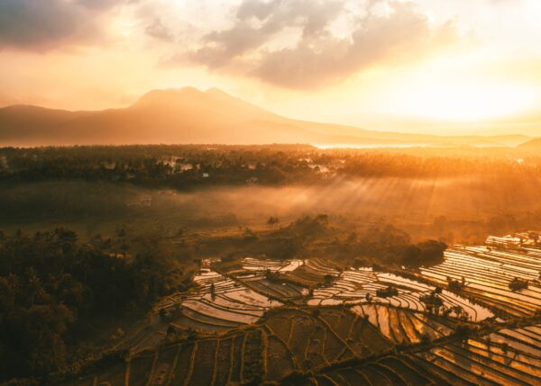 Golden sunrise over rice terraces with warm glowing light.