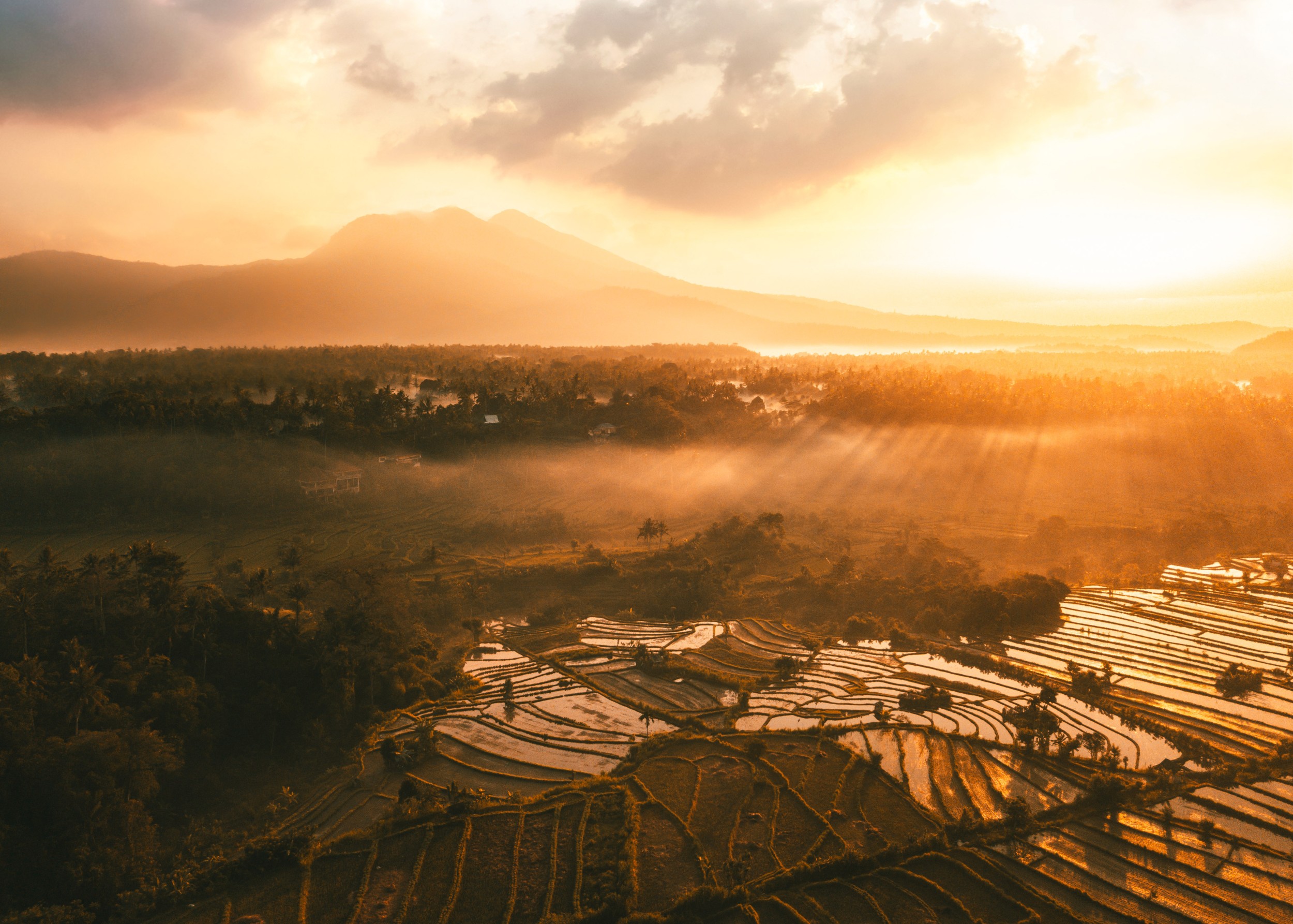 Golden sunrise over rice terraces with warm glowing light.
