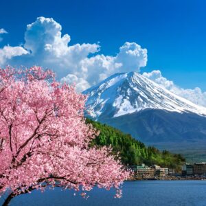 Mount Fuji with blooming sakura tree in spring.