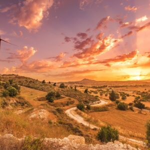 Sunset over golden fields with wind turbines.