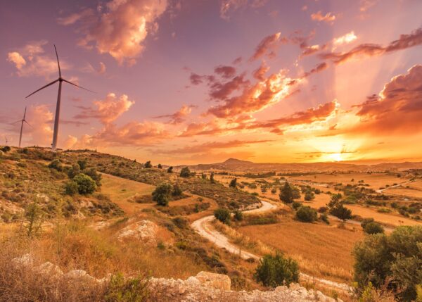 Sunset over golden fields with wind turbines.