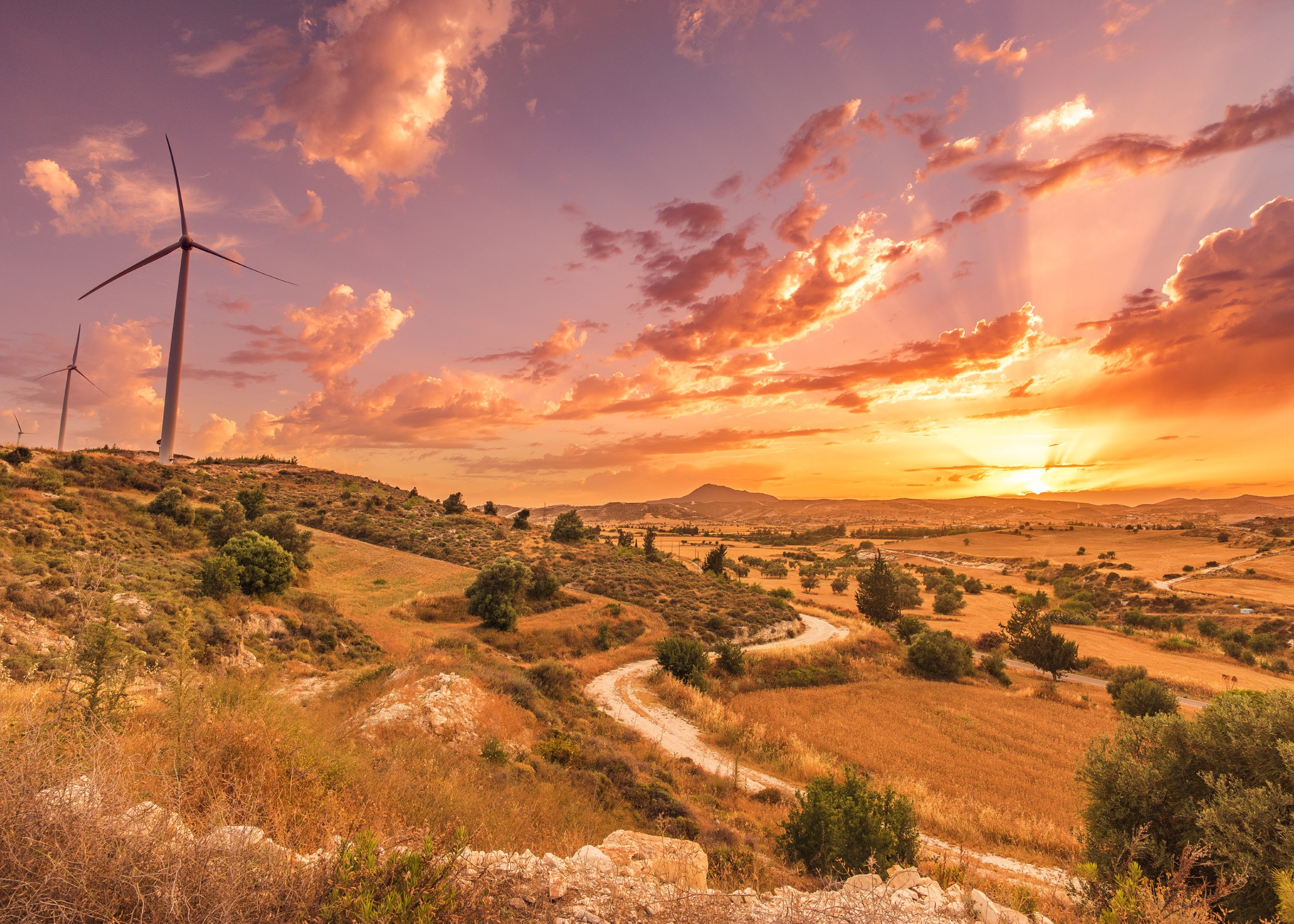 Sunset over golden fields with wind turbines.