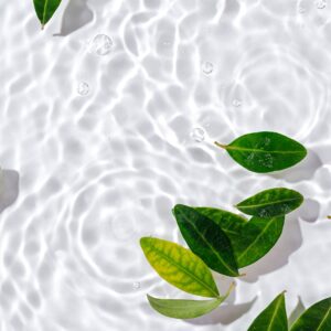 Зелени листа върху прозрачна вода