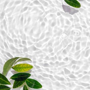 Зелени листа върху прозрачна вода с вълни