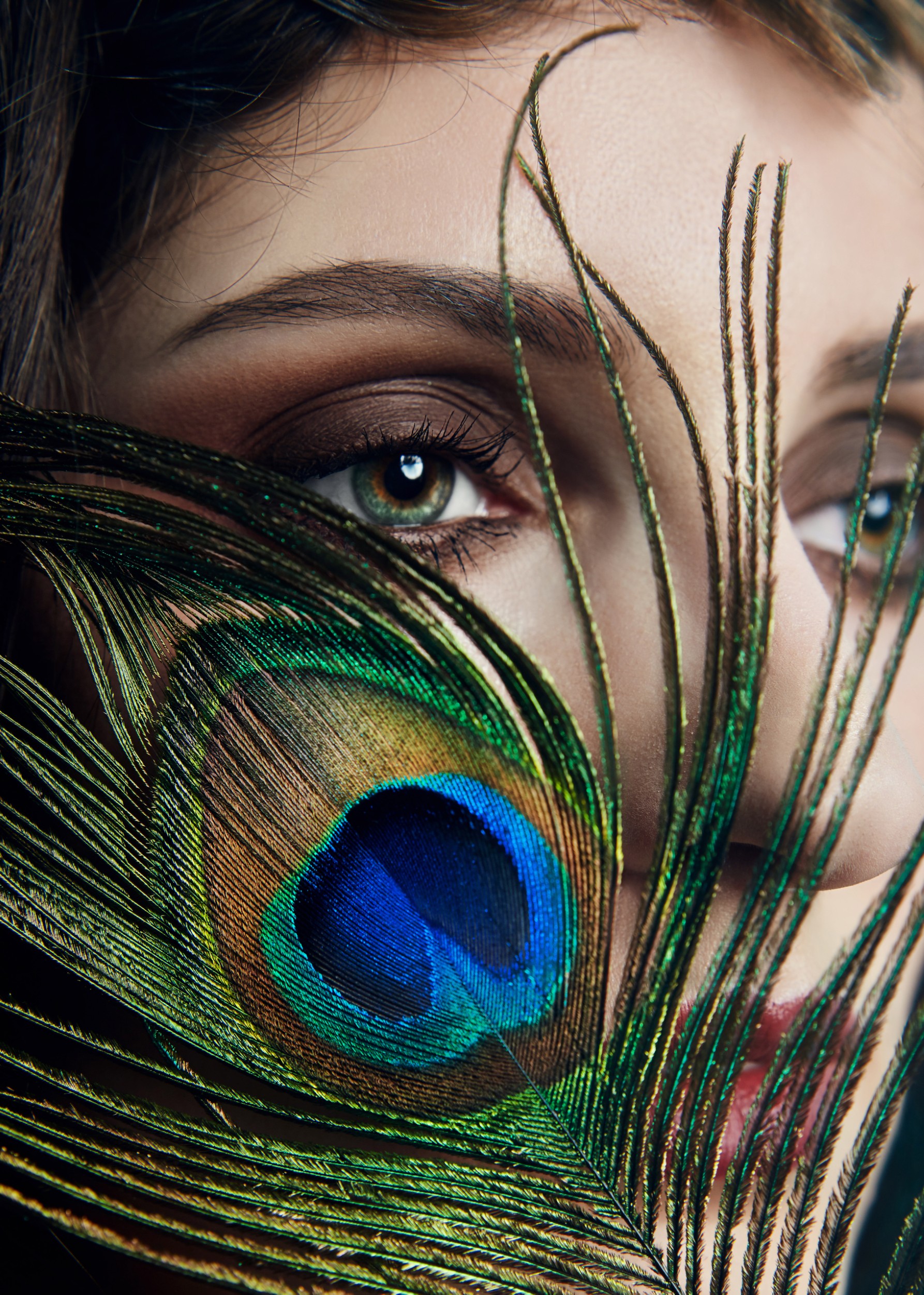 Око зад пауново перо с детайлни цветове.