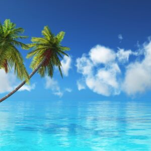 Палми и синьо море под ярко небе.