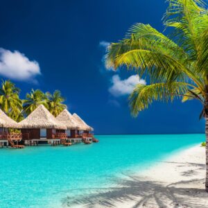 Тропически рай с палми и бунгала над водата