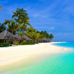 Екзотичен плаж с палми и бял пясък