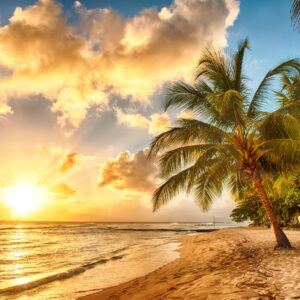 Тропически плаж със залез и палми, огрян в оранжево-златни тонове.