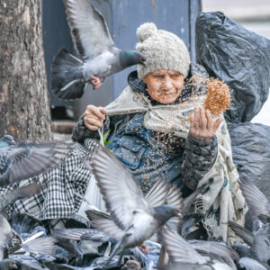 Храна за гълъби