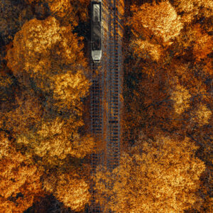 Есента на стария трамвай