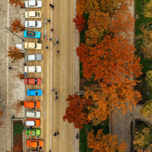 Коли и павета 2