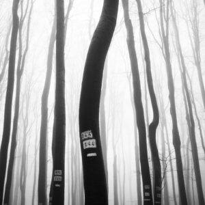 Горски баркод