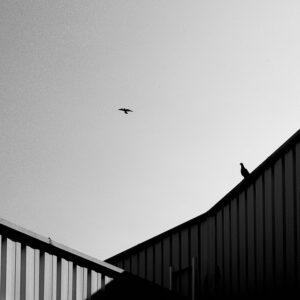 Лятно слънцестоене