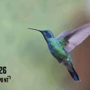 Календар "Животни"